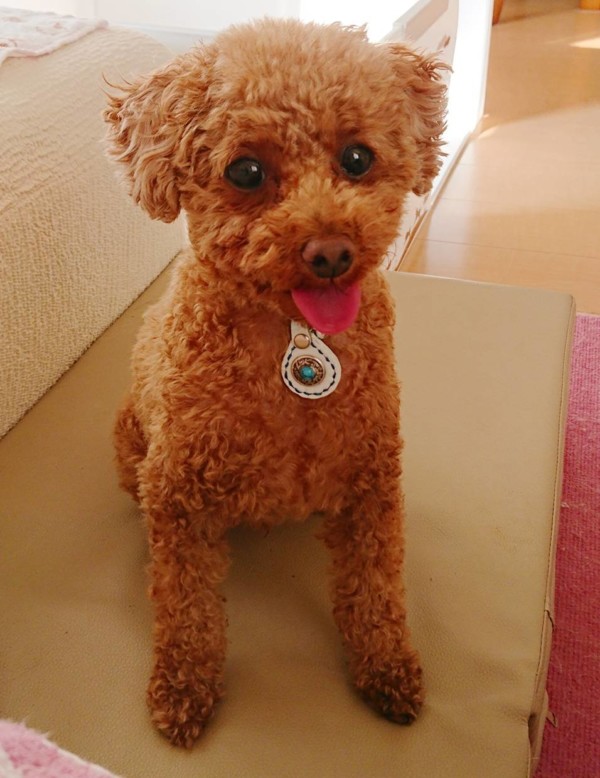 夏のバーニー君☆