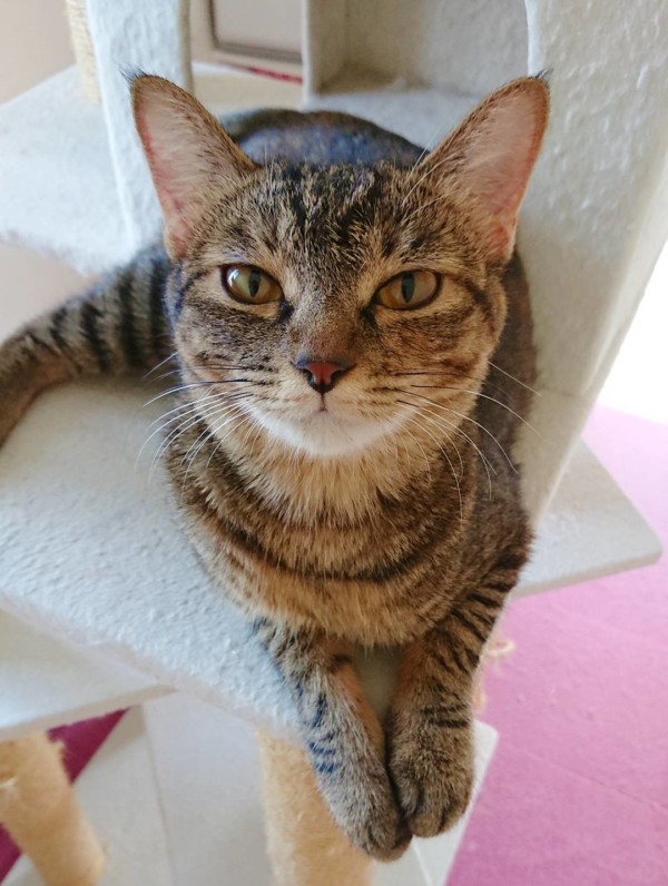 おてんばエマちゃん☆