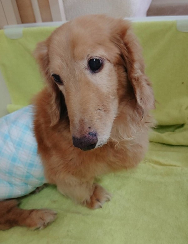 リピートのモカ君☆