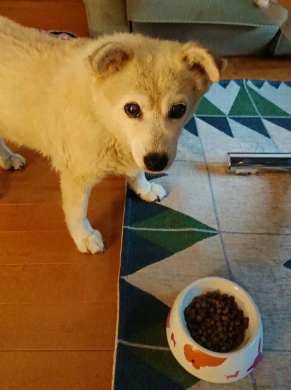 雨が多いくぅちゃん☆