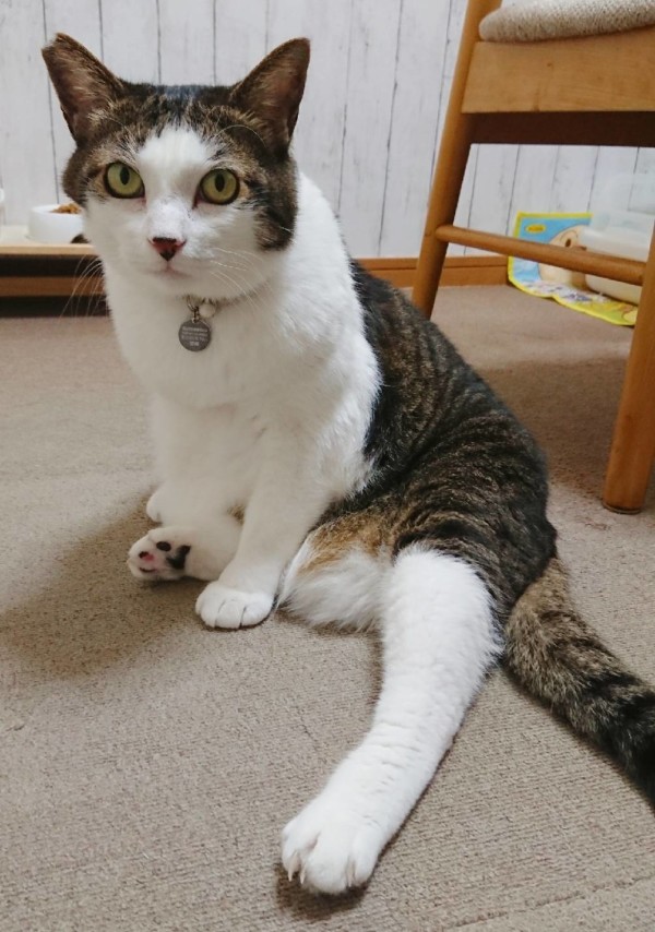 新発見このちゃん☆