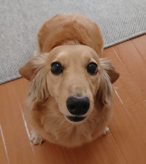 2年半ぶりのアリアちゃん☆