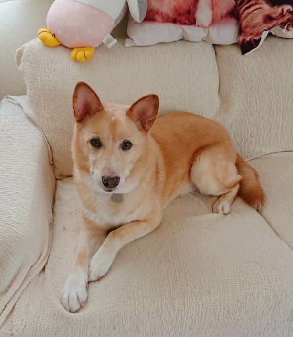 忍耐のりょう君☆