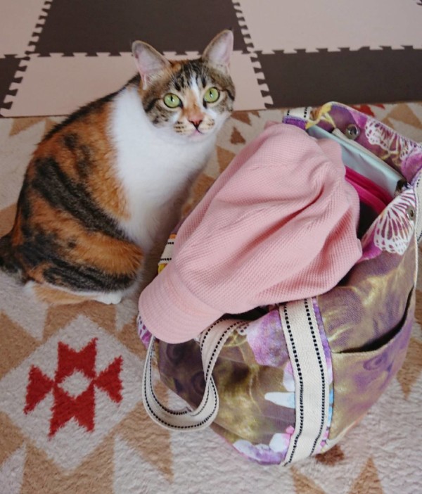 三毛猫たまちゃん☆