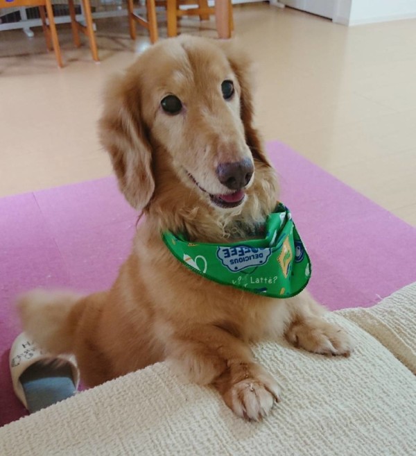 3回目のモカ君☆