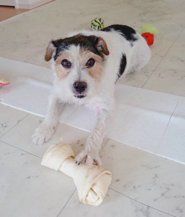 BIGガムにハマる小次郎君☆