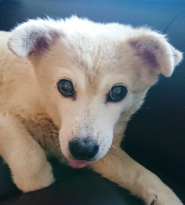 秋の予感くぅちゃん☆