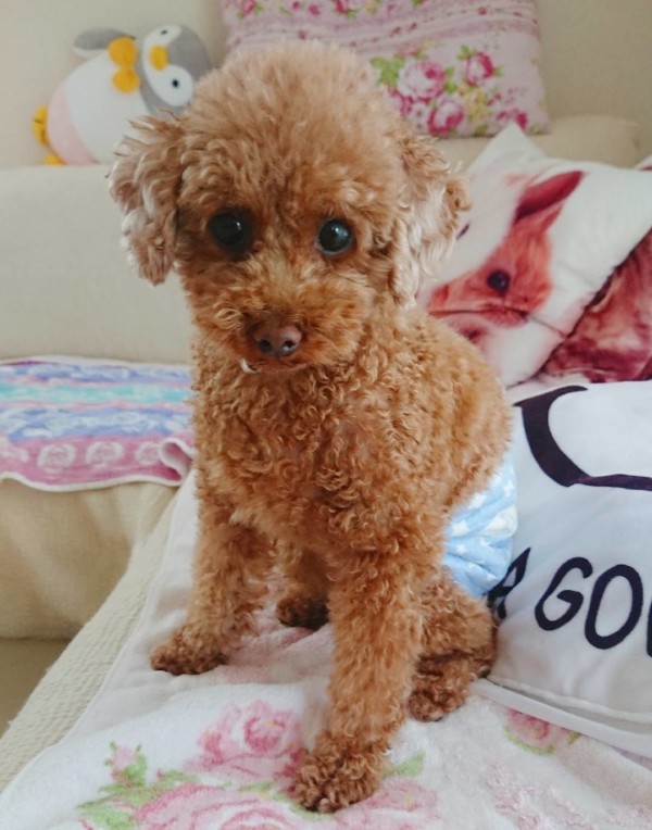 秋のバーニー君☆