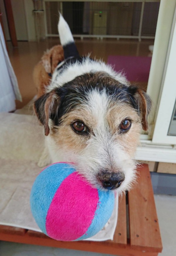 いつも通りの小次郎君☆