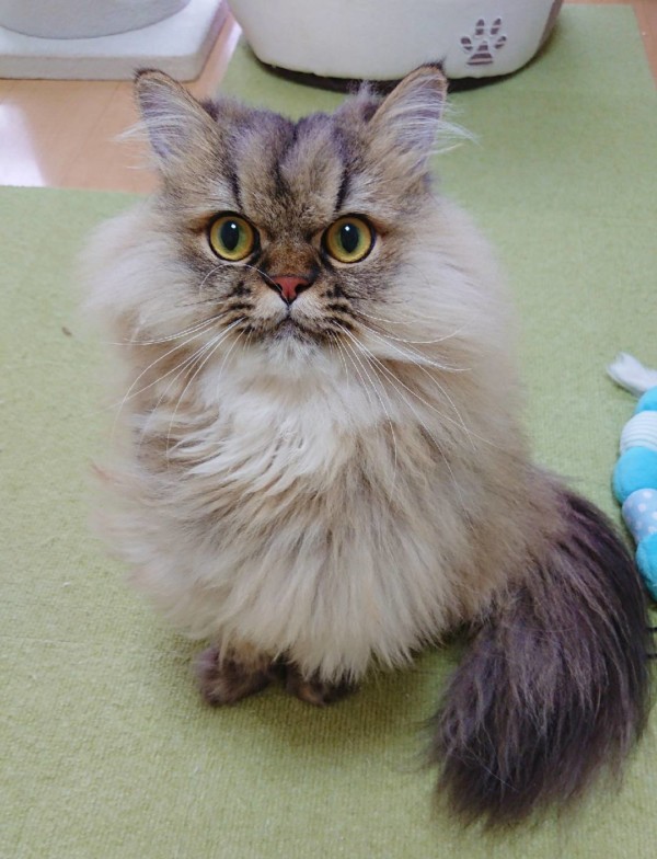 4回目のぐぅ君☆