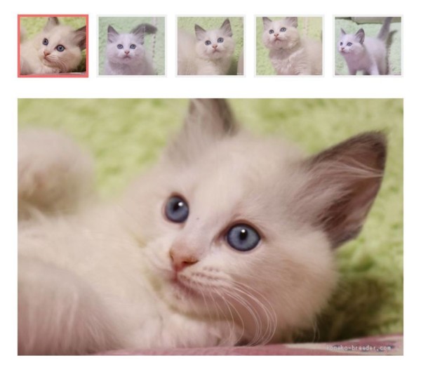 新しいお嫁さん神鈴ちゃん☆