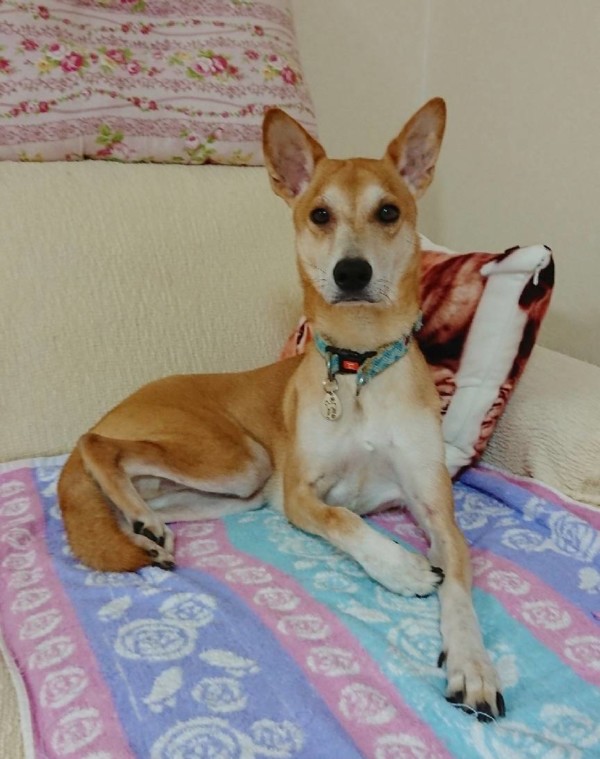 成長したコメ君☆