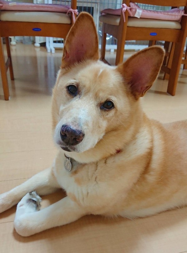 すっかり慣れたりょう君☆