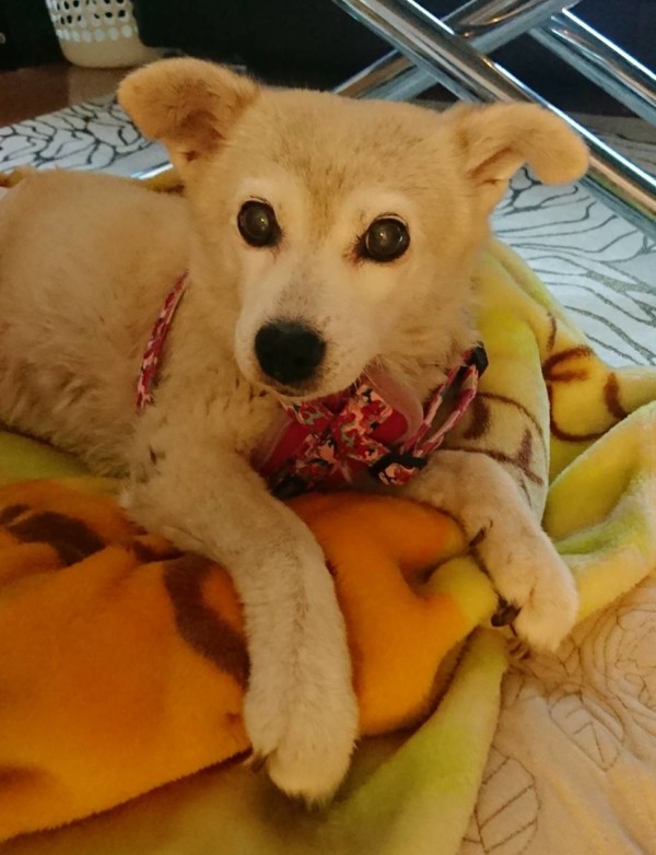 復活くぅちゃん☆