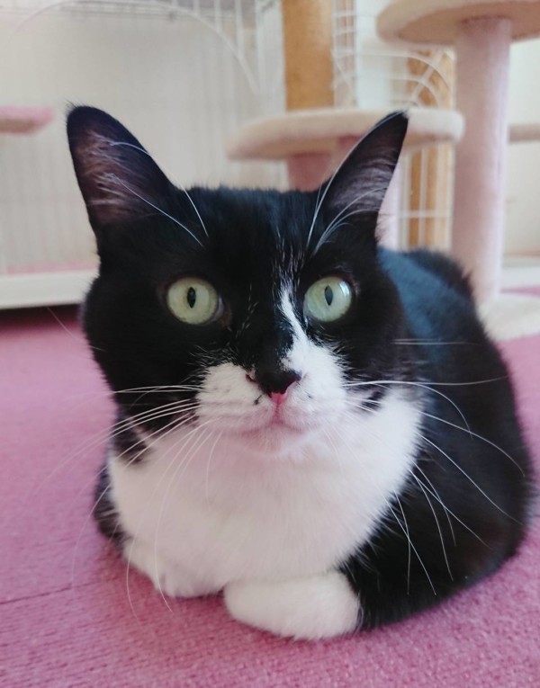 リピートのちぃちゃん☆