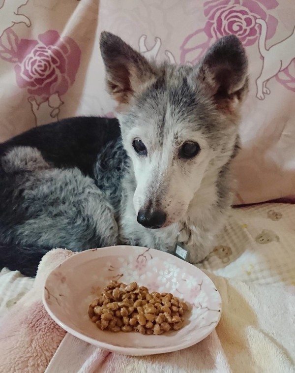 3回目のさくらちゃん☆