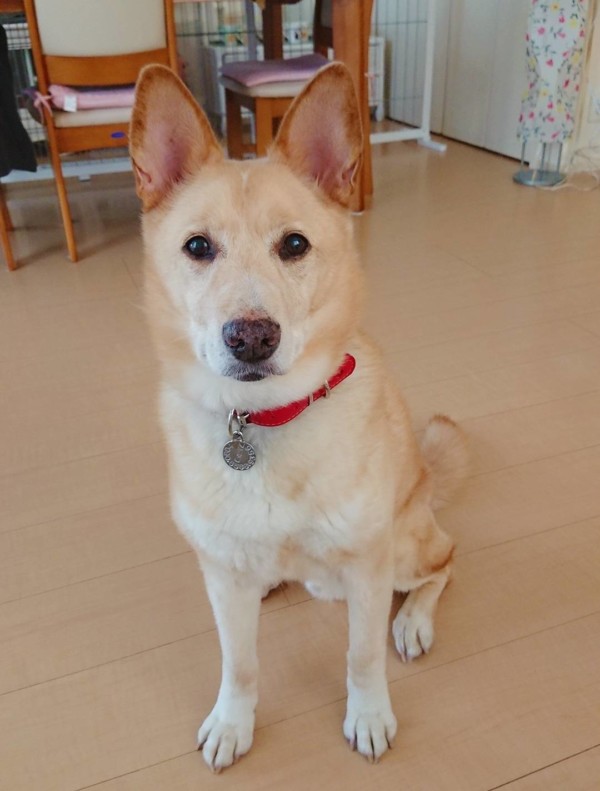 今月のりょう君☆