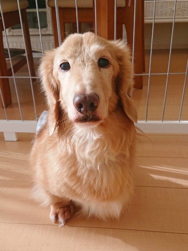 絶好調なモカ君☆