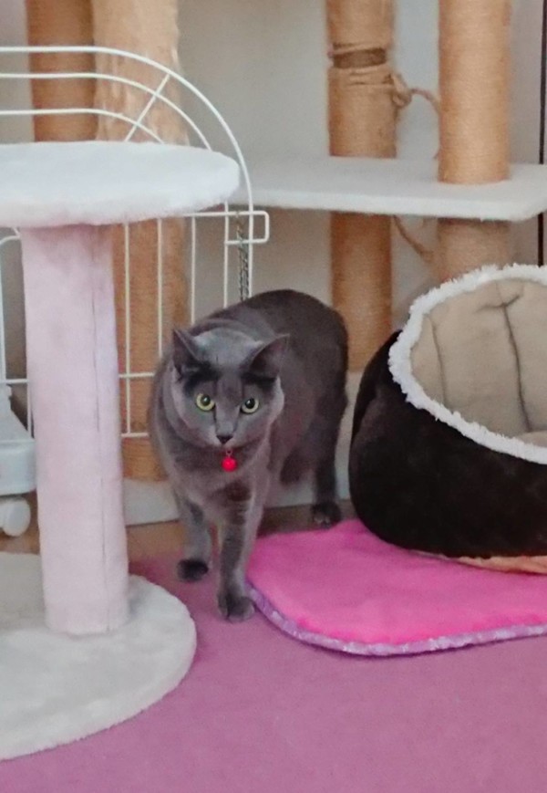 お久しぶりのララちゃん☆