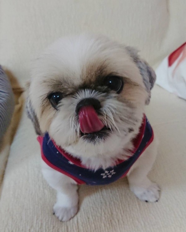 お久しぶりのふぅちゃん☆