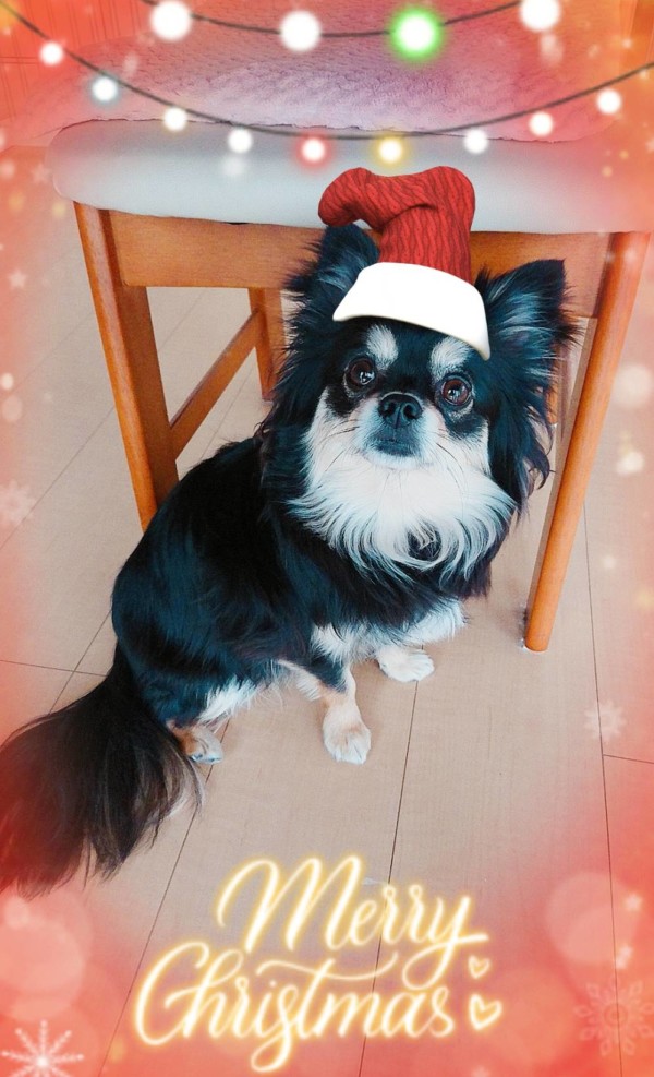 サンタクロースなココ君☆