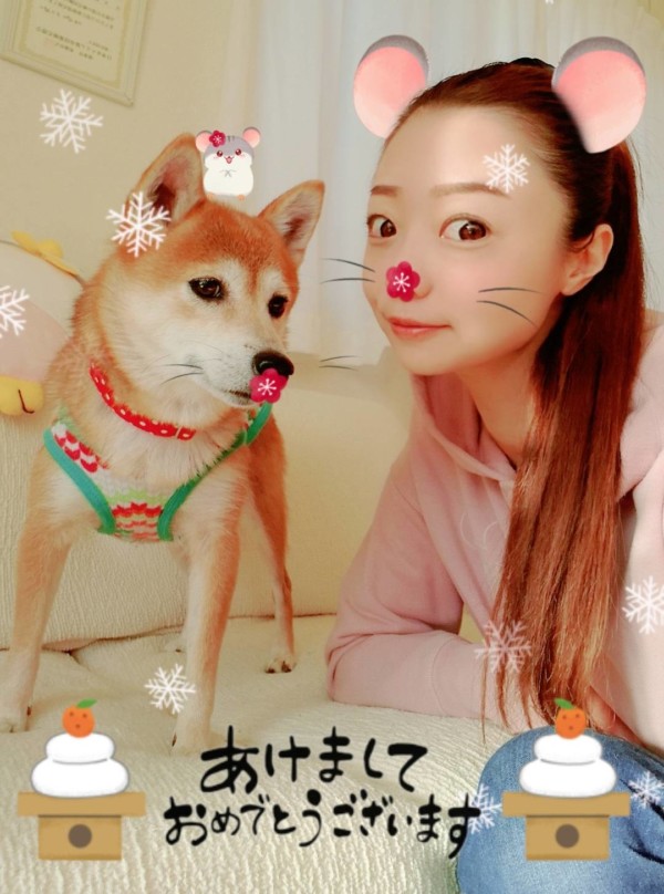 柴犬の小梅ちゃん☆