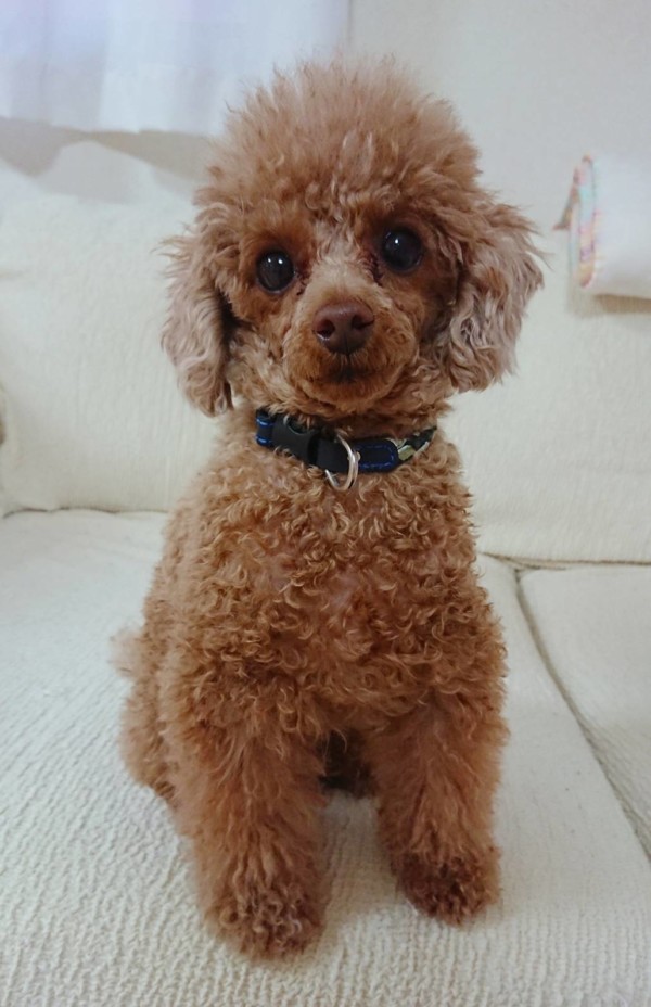 カットが変わったバーニー君☆