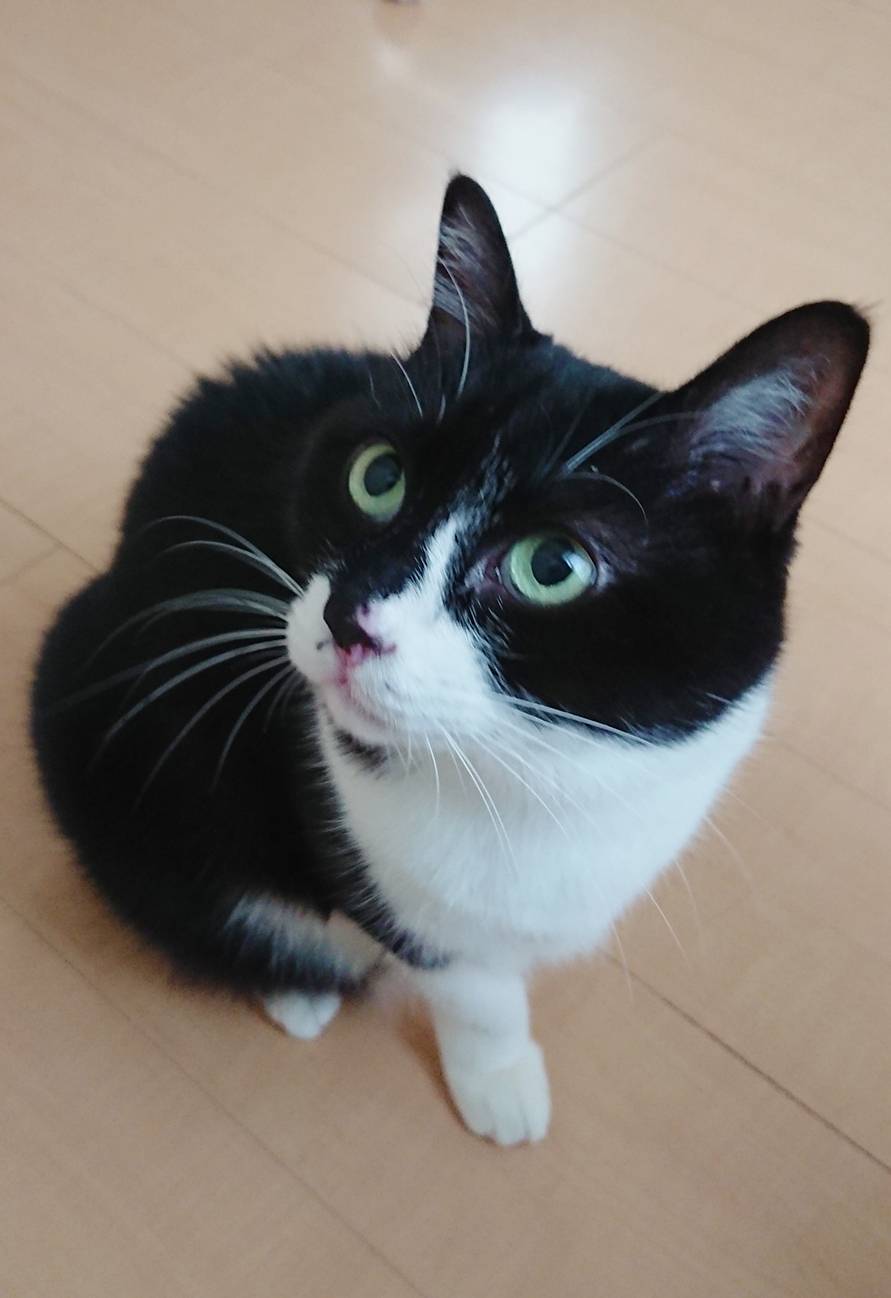 甘えん坊ちぃちゃん☆