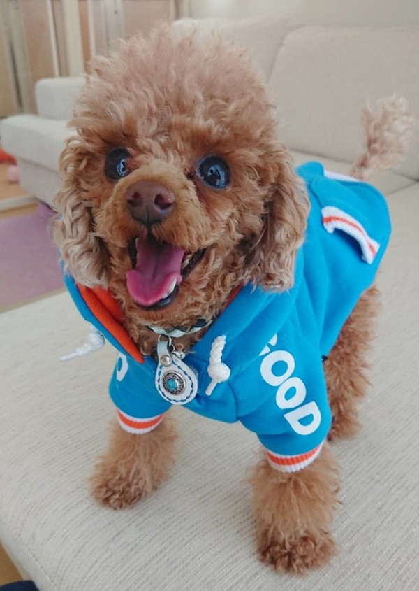 春一番バーニー君☆