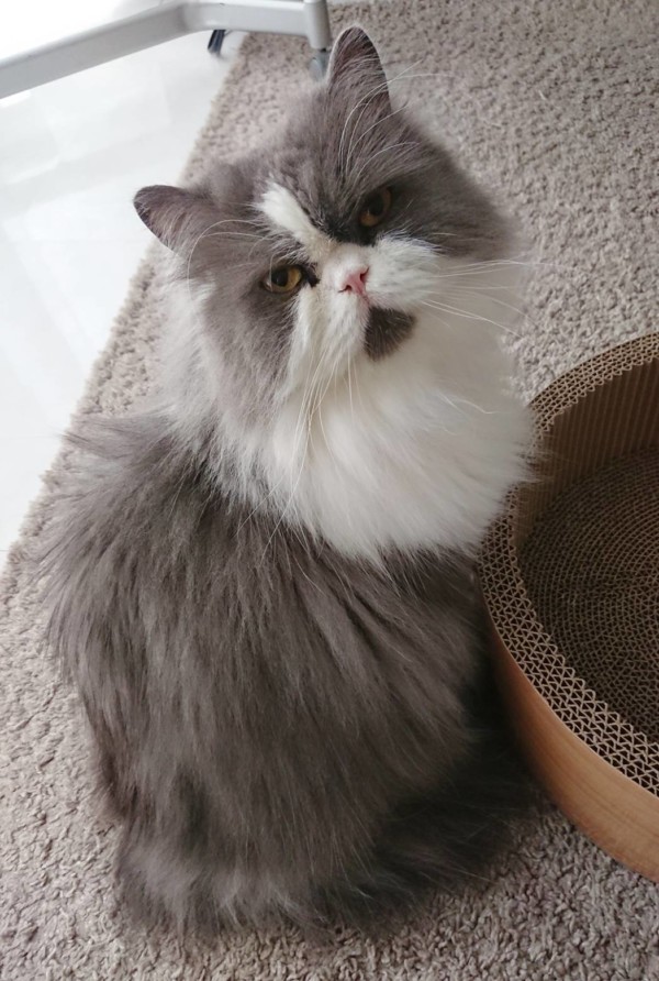 久しぶりのどんちゃん☆