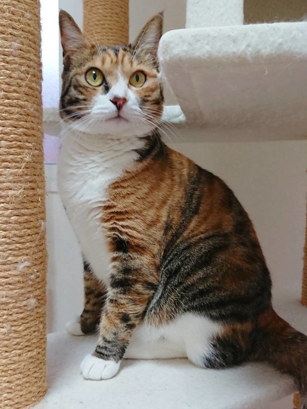 リピートのセサミちゃん・くぅちゃん☆