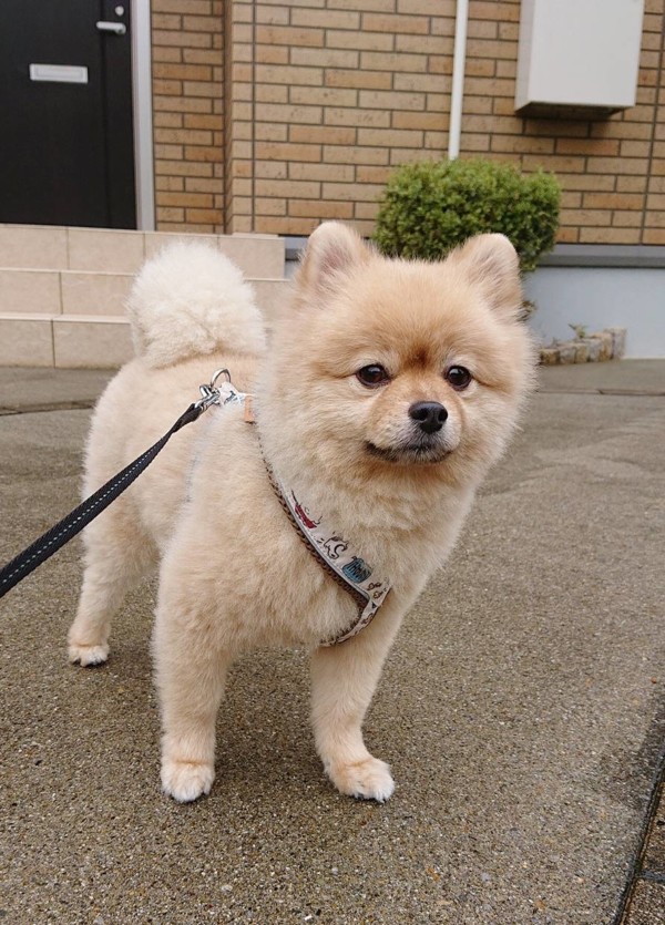 2年ぶりの虎吉君☆