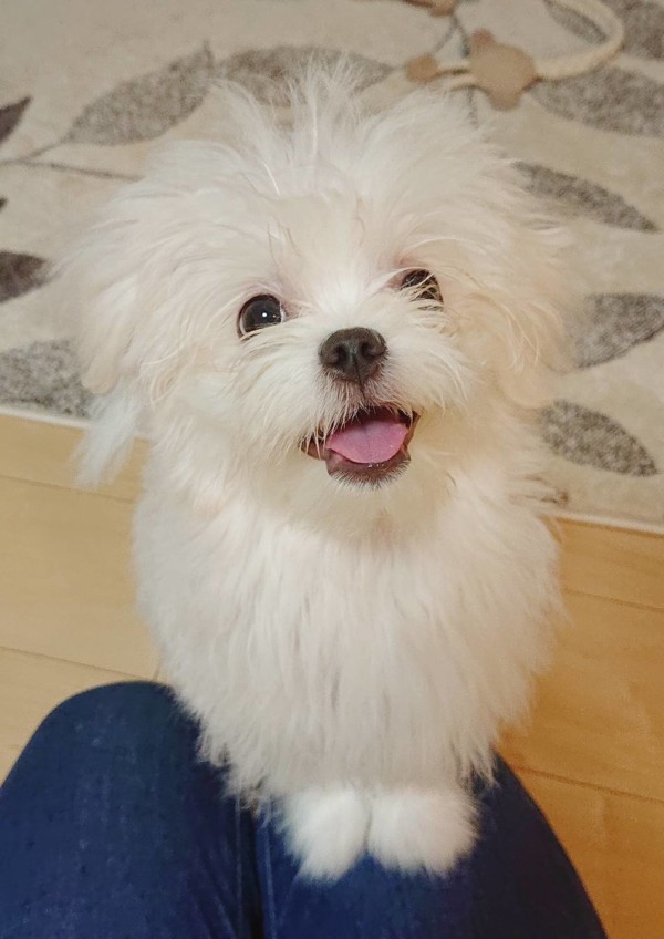 リピートさくらちゃん☆