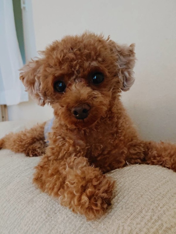 一緒にお風呂バーニー君☆