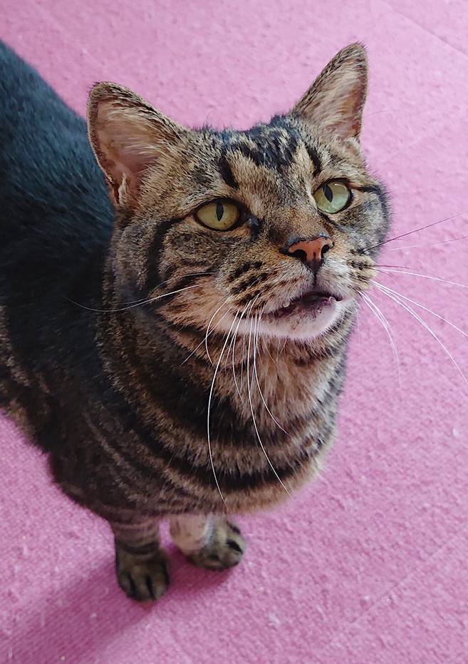 過去最高齢のチョコ君☆