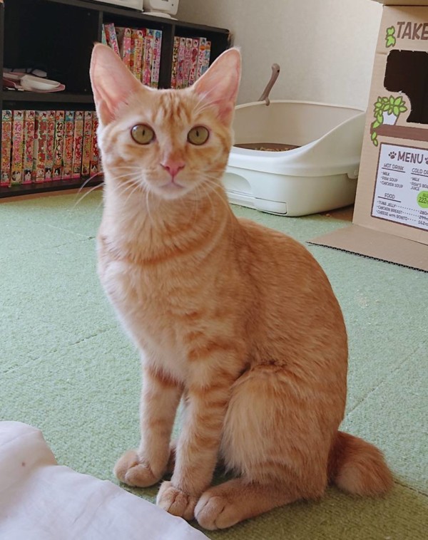 2万匹に1匹のコロちゃん☆