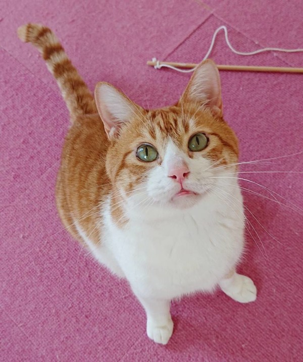 ２年ぶりのバロン君☆