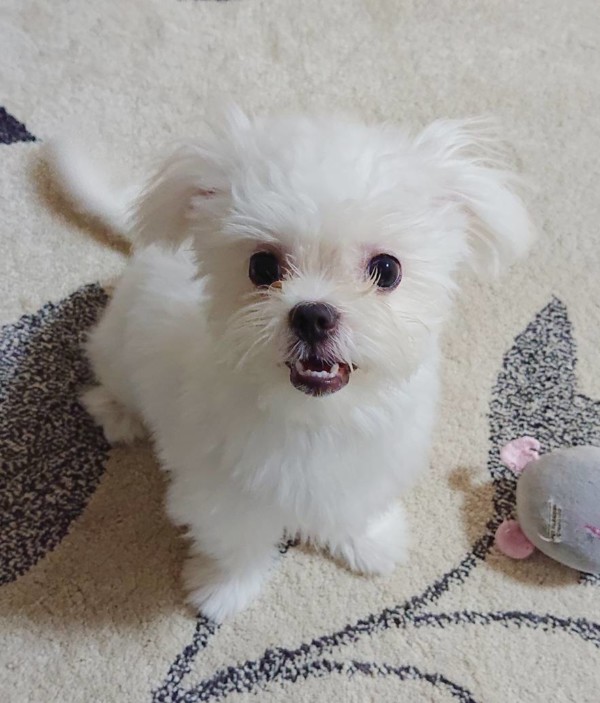 ますます成長さくらちゃん☆