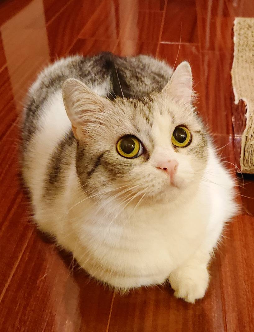 あめちゃん・こさめちゃん・みおちゃん☆