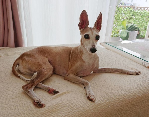 常連さんのナッツ君☆