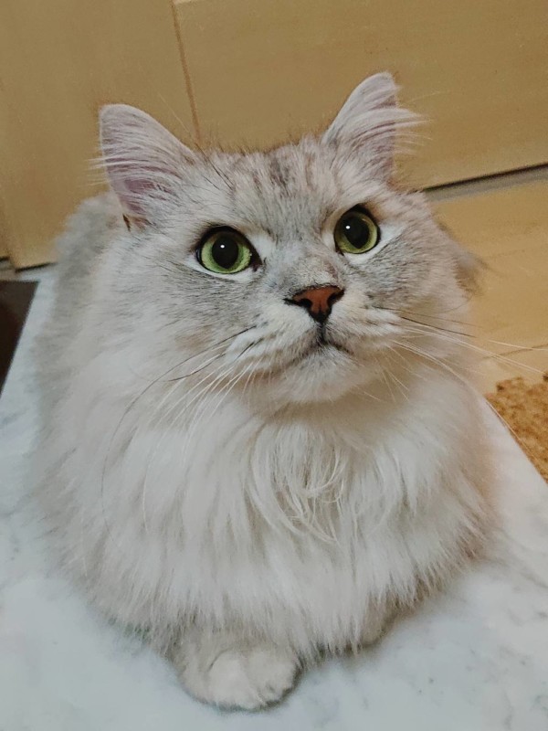 常連さんのぎん君☆