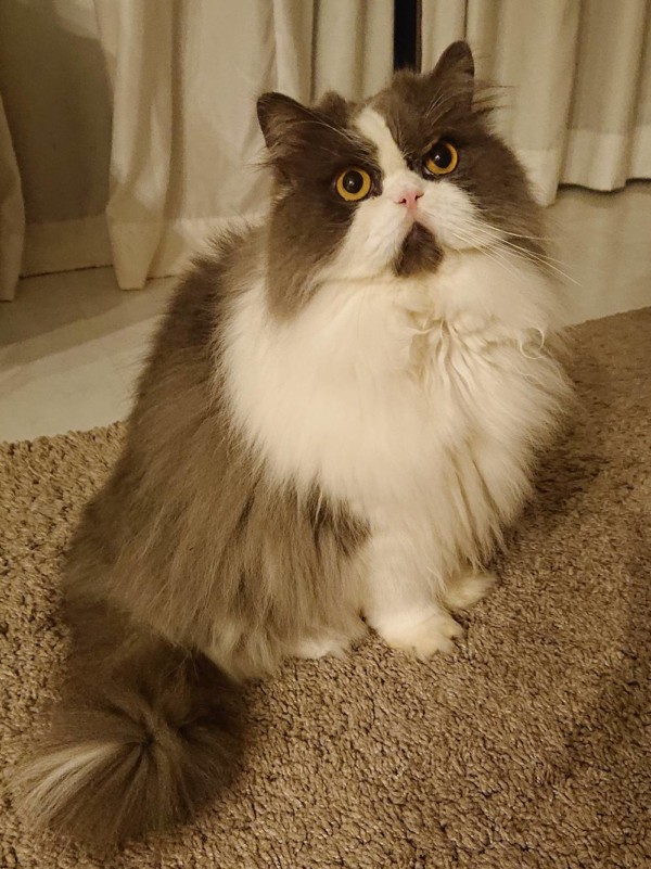 オヤツ大好きどんちゃん☆