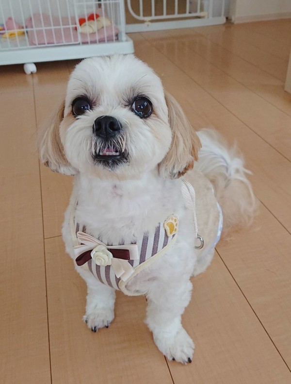 短時間お預かりのみるく君☆