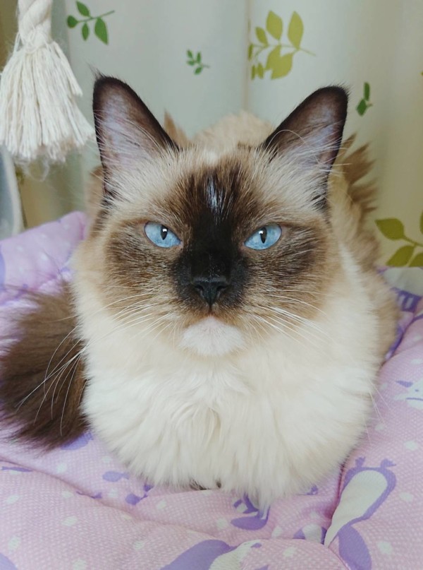 リピートのグレースちゃんとアシェル君☆