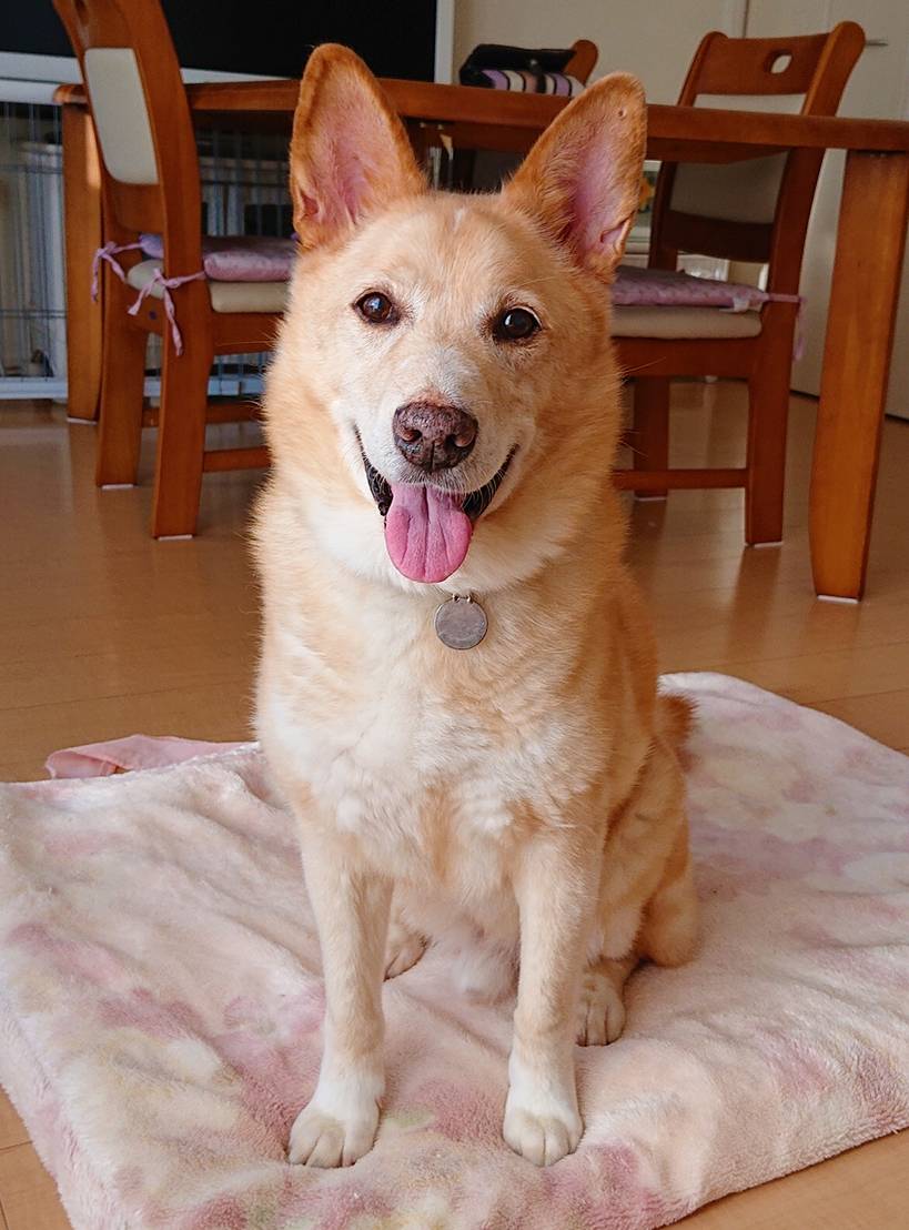 ハツラツりょう君☆