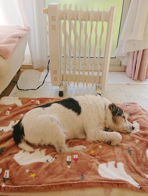 子供返り小次郎君☆