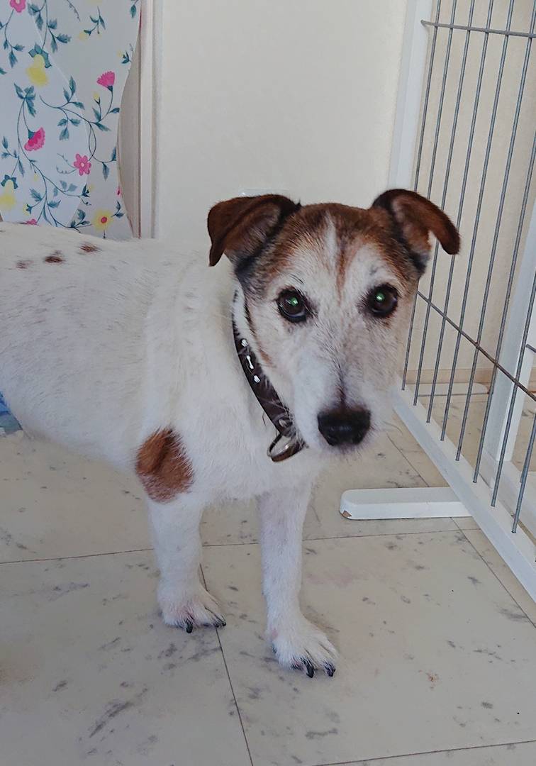 5日ぶりログ君☆