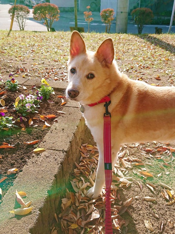 ２週間ぶりりょう君☆