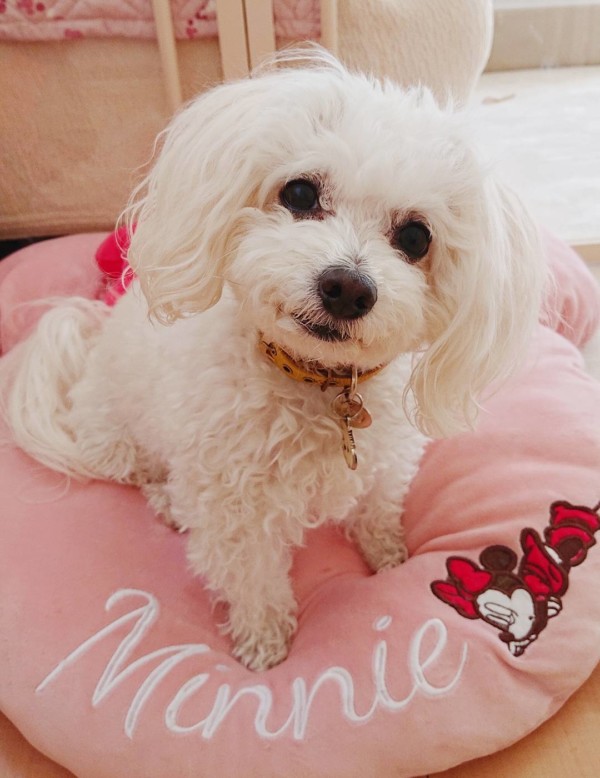 久しぶりのペルちゃん☆