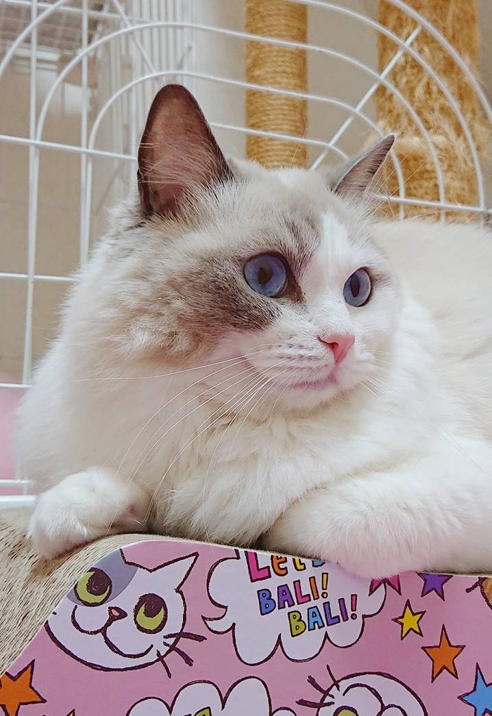 1年ぶりランちゃん☆